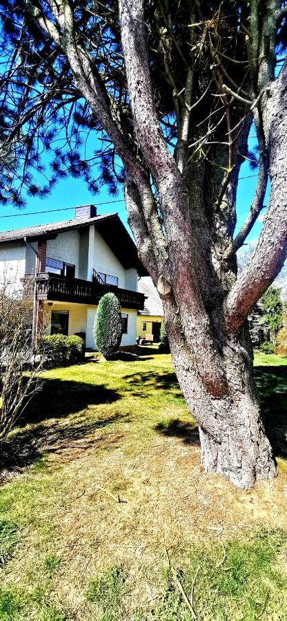 Ferienwohnung Landidylle Nassheck ديبليخ المظهر الخارجي الصورة